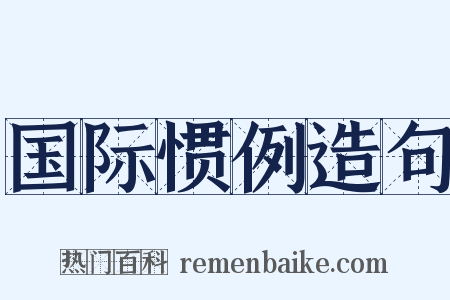 国际惯例造句是什么意思的图片